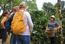 coffee-plantation-guide