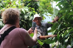 invernadero-cacao-tour