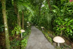 Senderos at Ecotermales Hot Springs