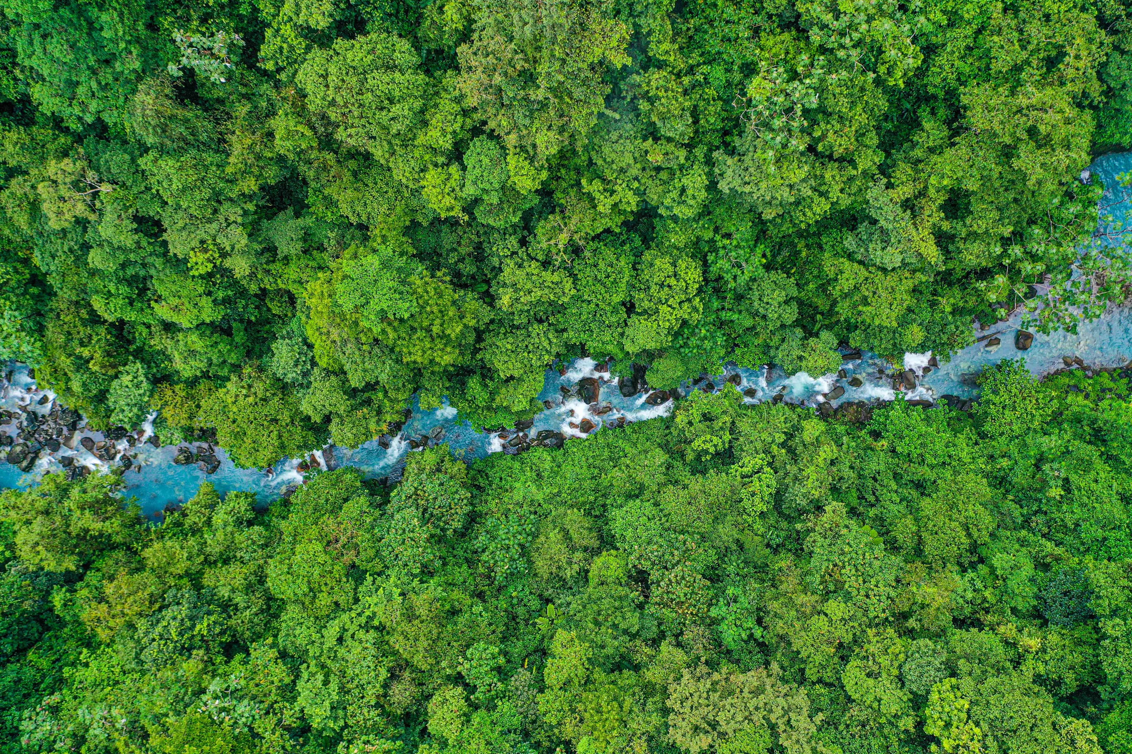 Call to action image