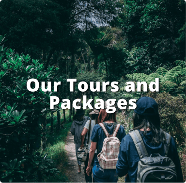Our Tours and Packages